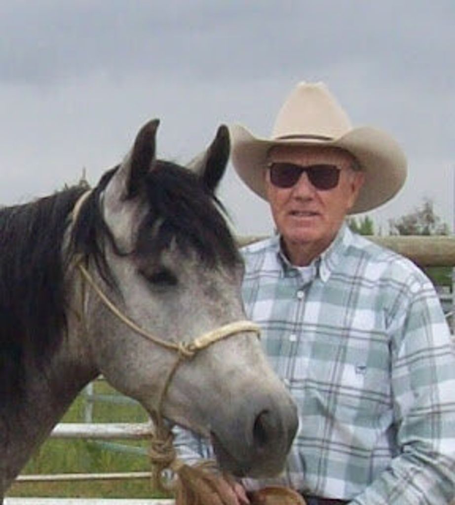 David B. Ellis Profile Photo