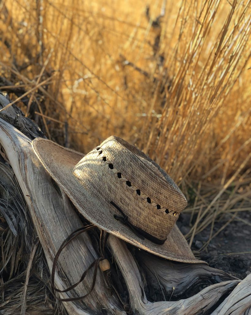 Richard Barrie Benedictson Profile Photo
