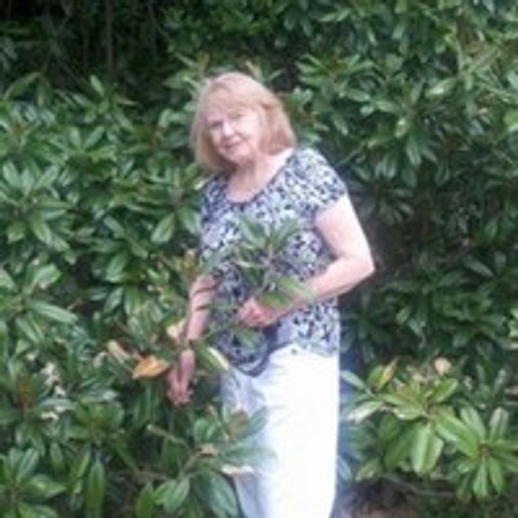 Margaret Ann Thorne