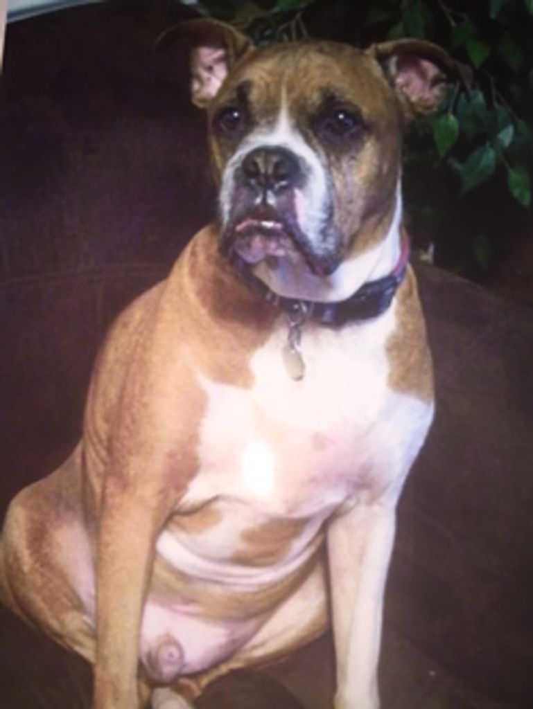 Hank Bunch Profile Photo