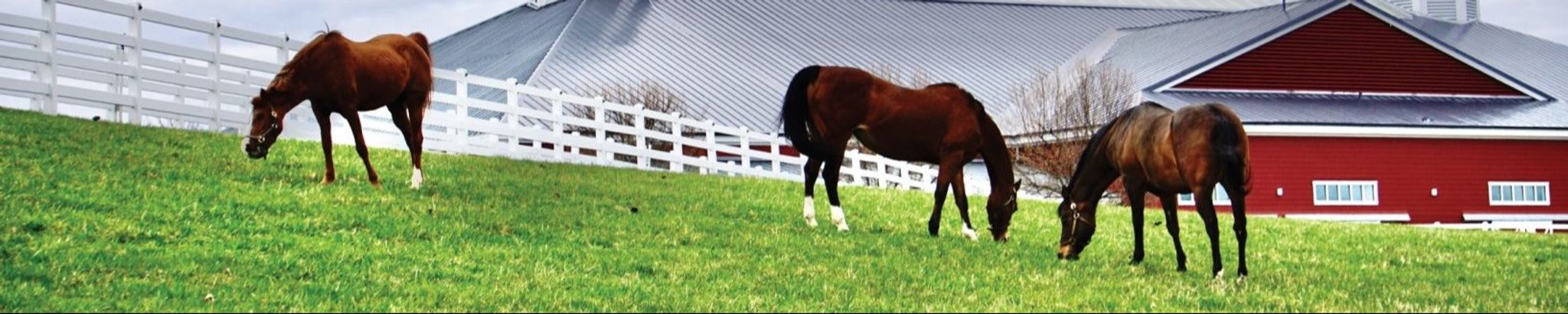 Cover for William "Bill" D. Fossett's Obituary