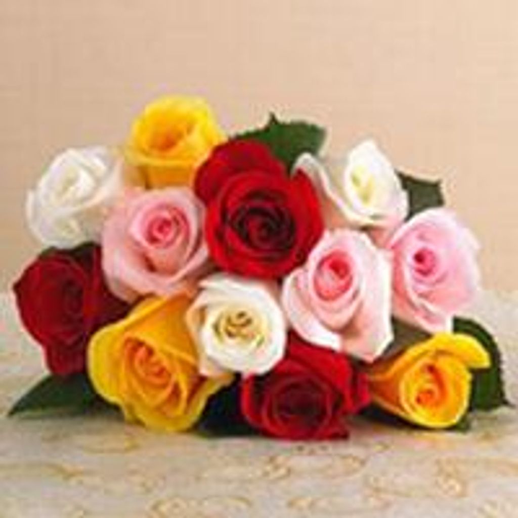 Gail  Patricia Shell Profile Photo