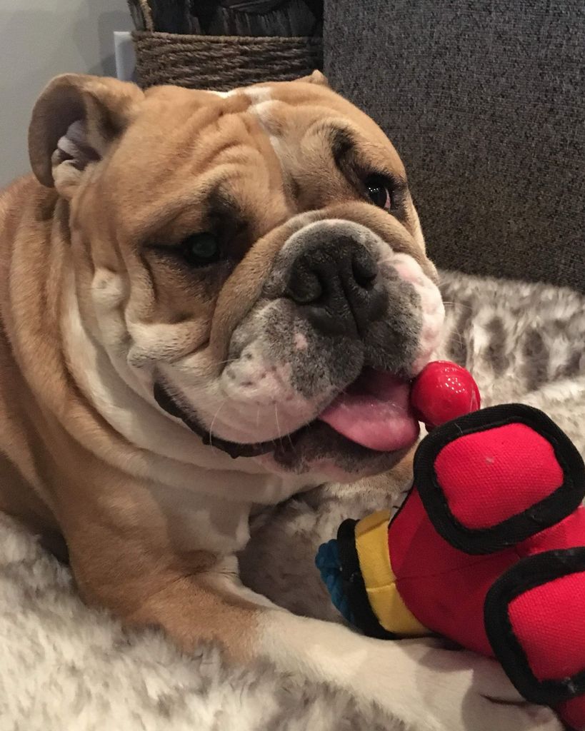 Norman Jones Profile Photo