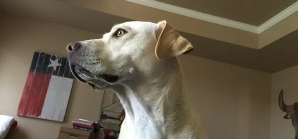 Missy Nui Profile Photo