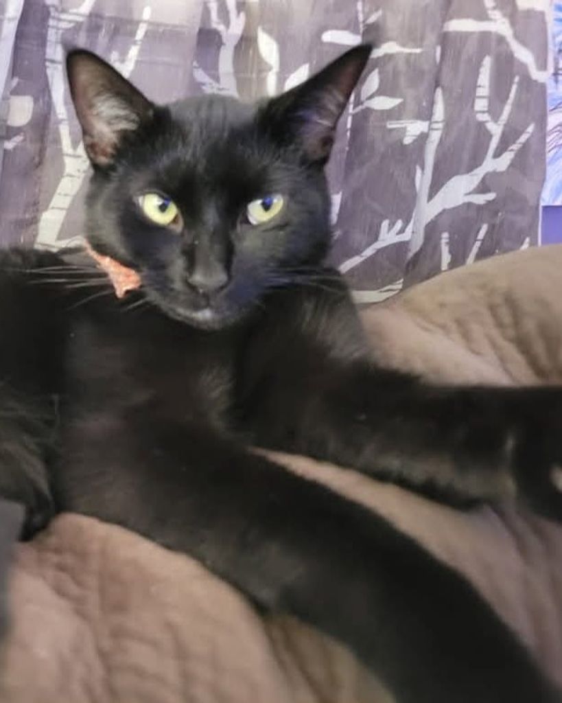 Vipurr Caudill Profile Photo