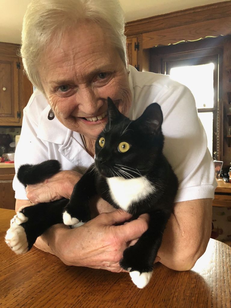 Patricia Wilson Profile Photo