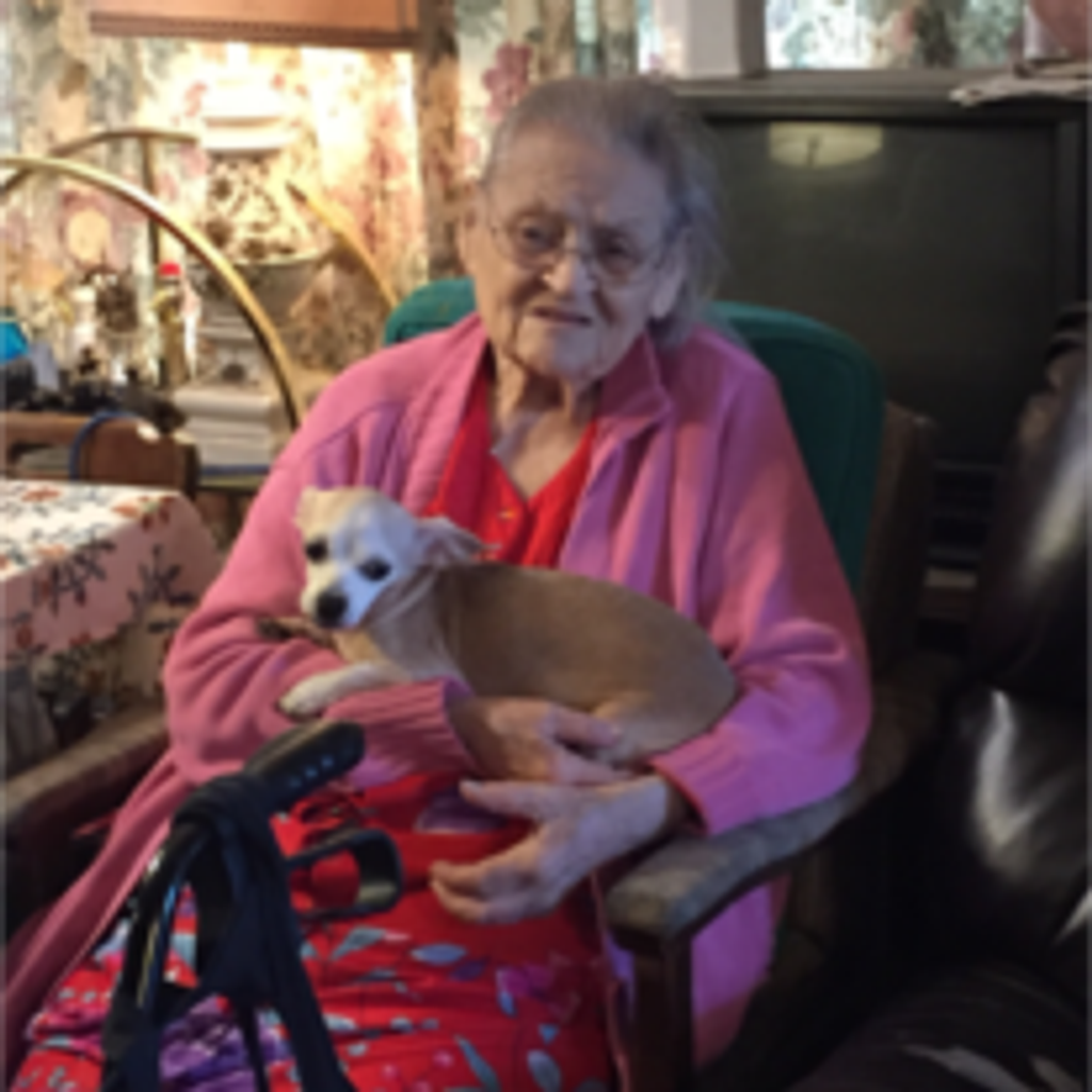Mary Bliss