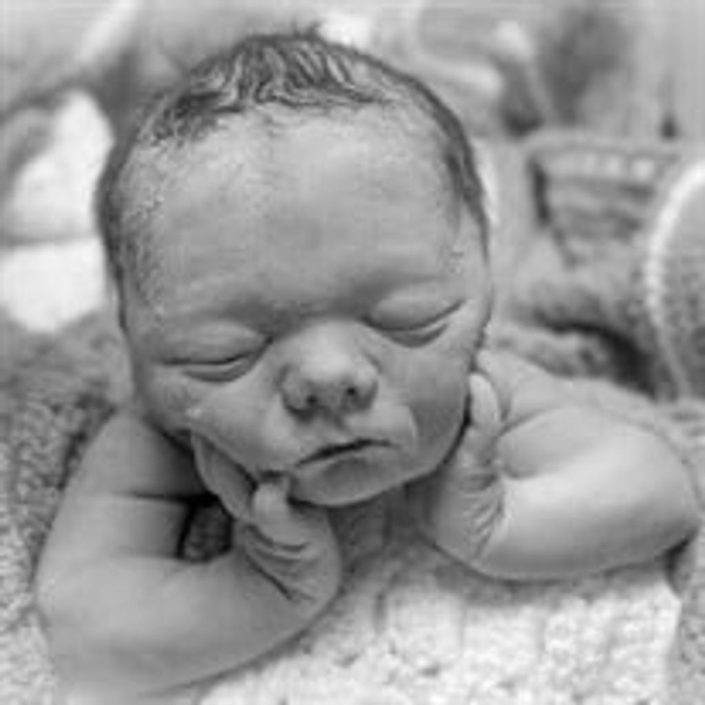 Levi David Lehner