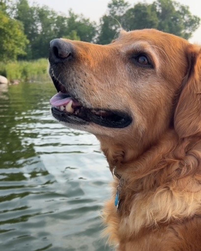 Chaser Grant Shatek Profile Photo