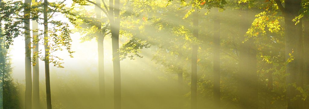Cover photo for Barry James Anderson's Obituary
