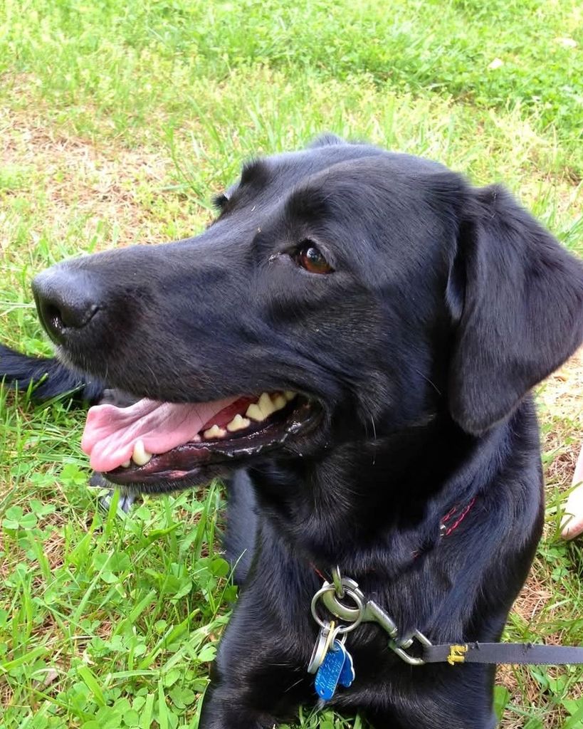 Lucy Griffin Profile Photo