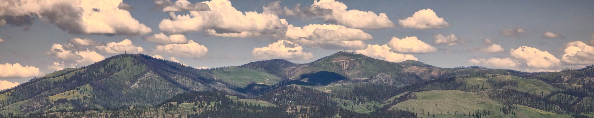 Cover for Nancy Mickelsen's Obituary