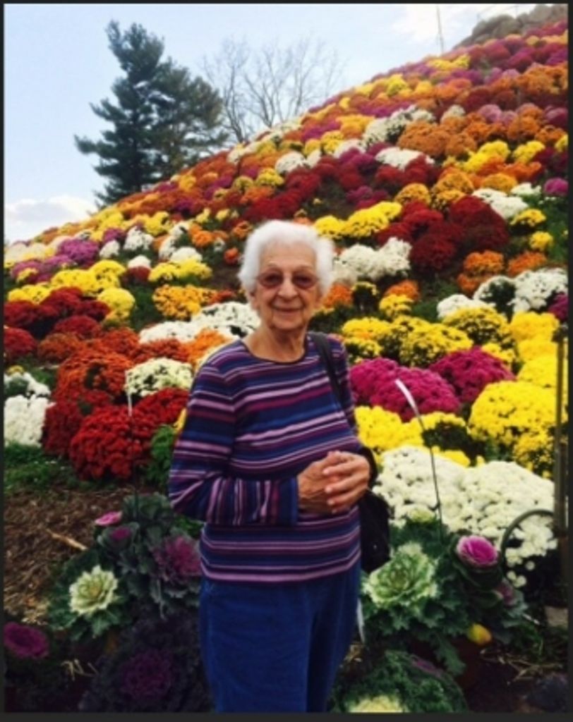 Rita Dolbey Profile Photo