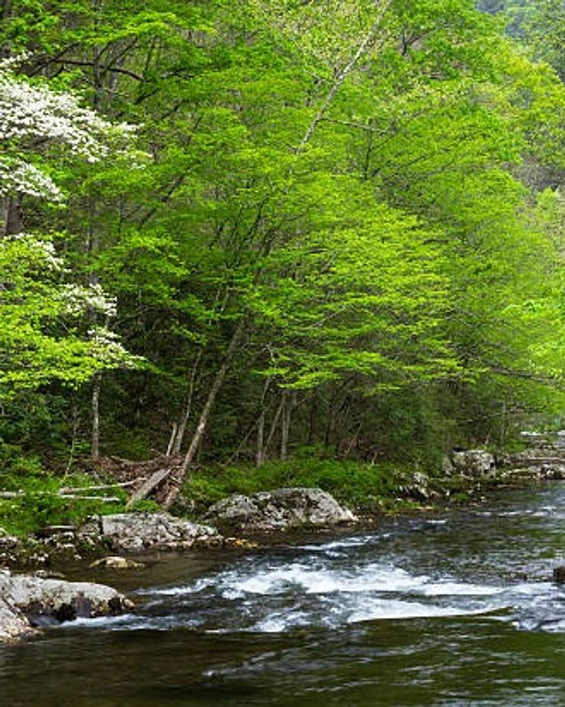 Larry Wayne Fletcher