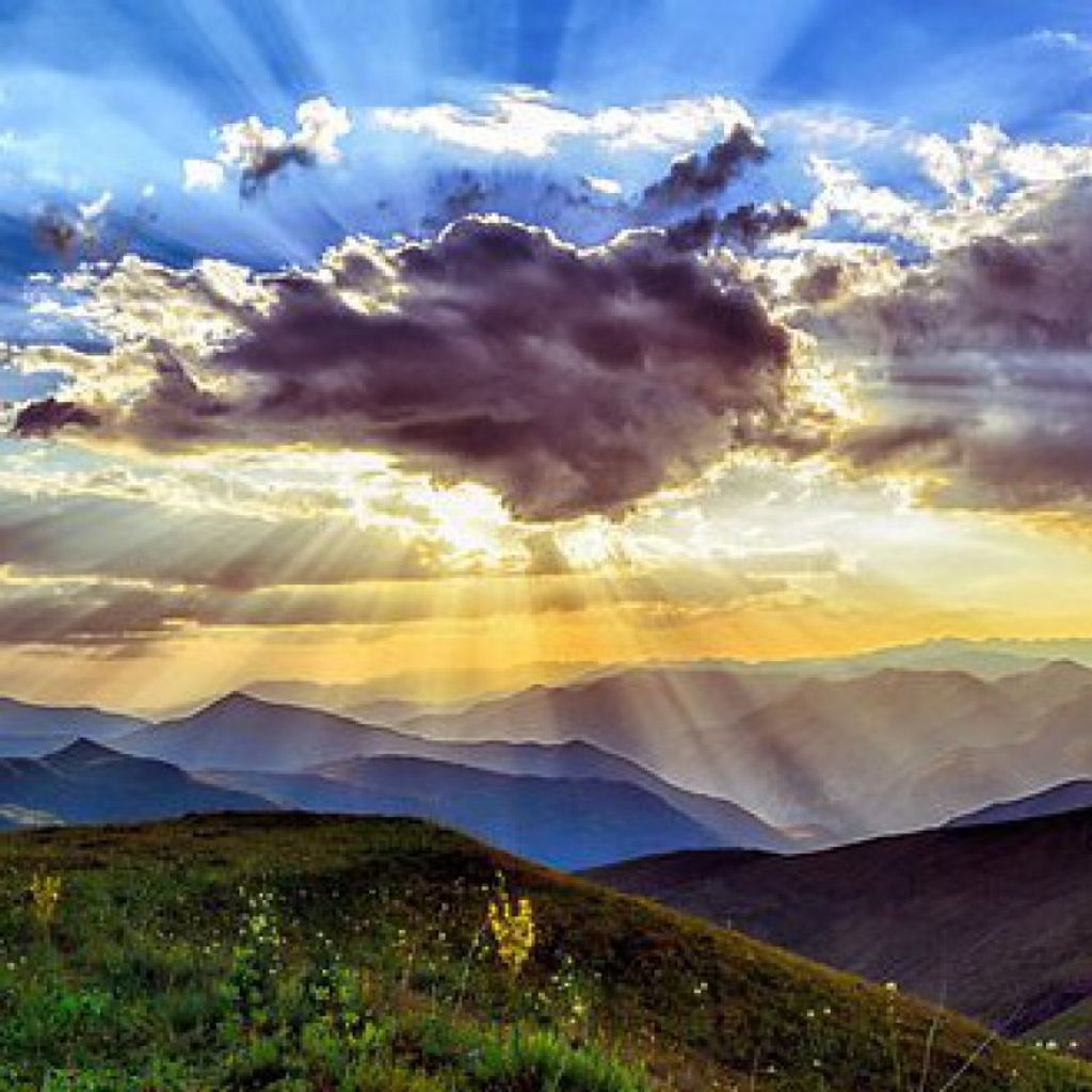 Justin Michael Jones Profile Photo