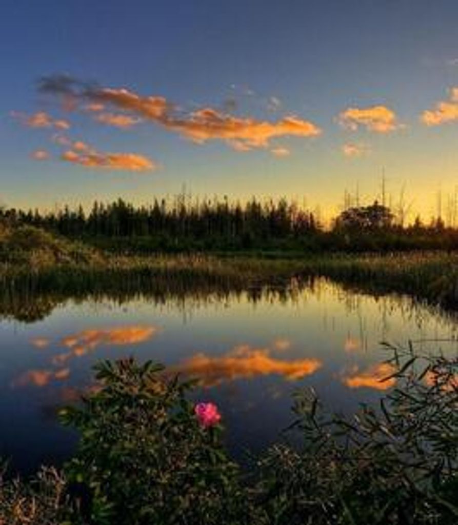 Beaula Mccrary Profile Photo