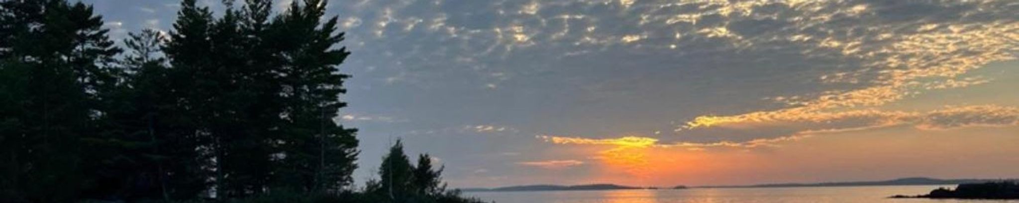 Cover for Wayne Darvell's Obituary