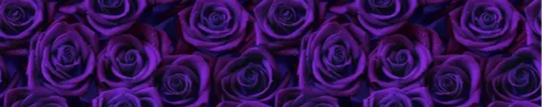 Cover for Cathy Curtis's Obituary