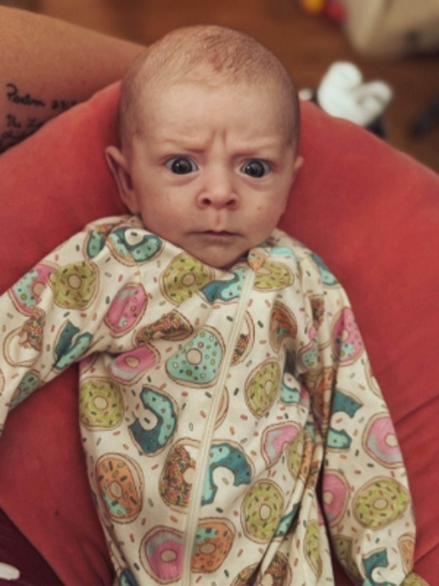 Zeelynd Allen Joly photo gallery image 2 of 3