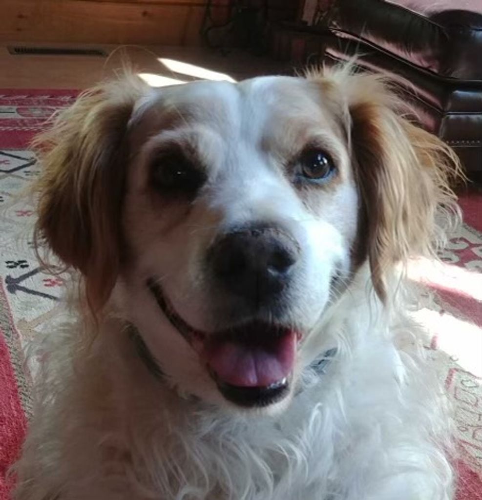 “Buddy  Boy” Davis Profile Photo