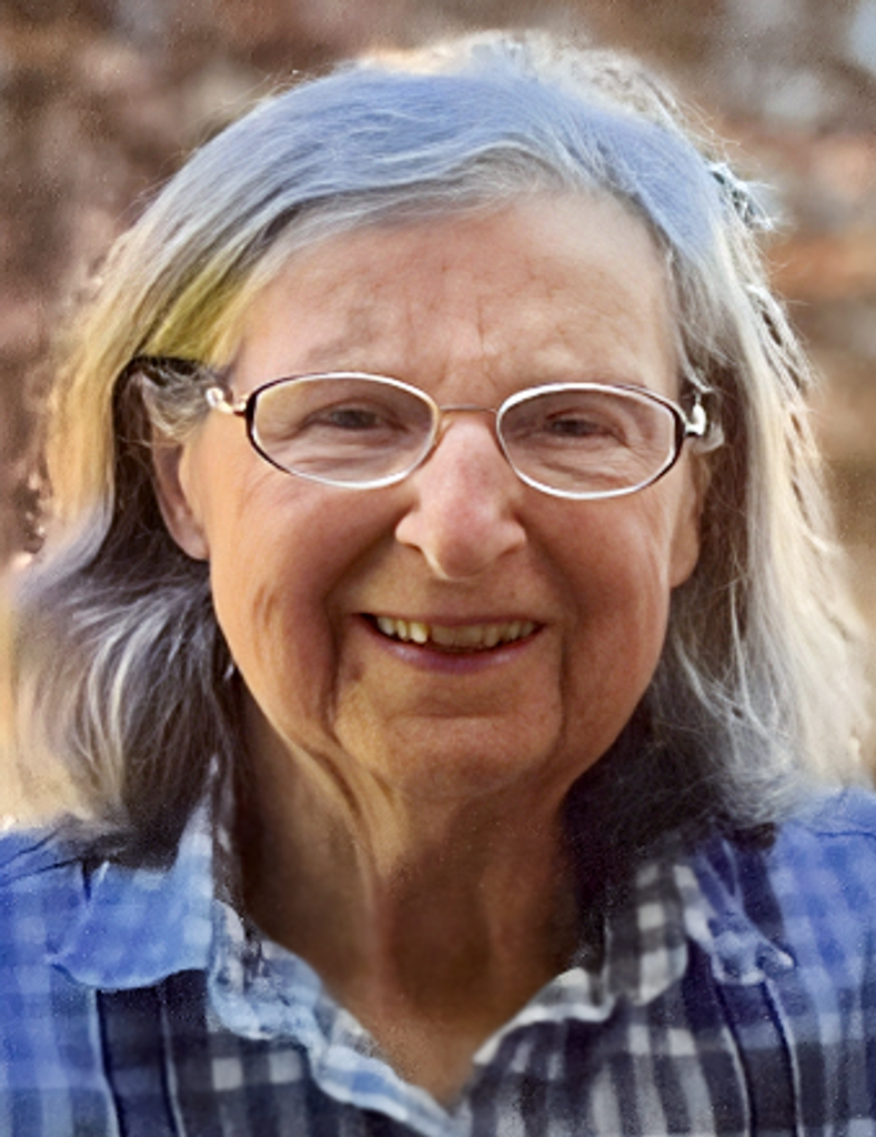 Dolores Ann Mcgoldrick