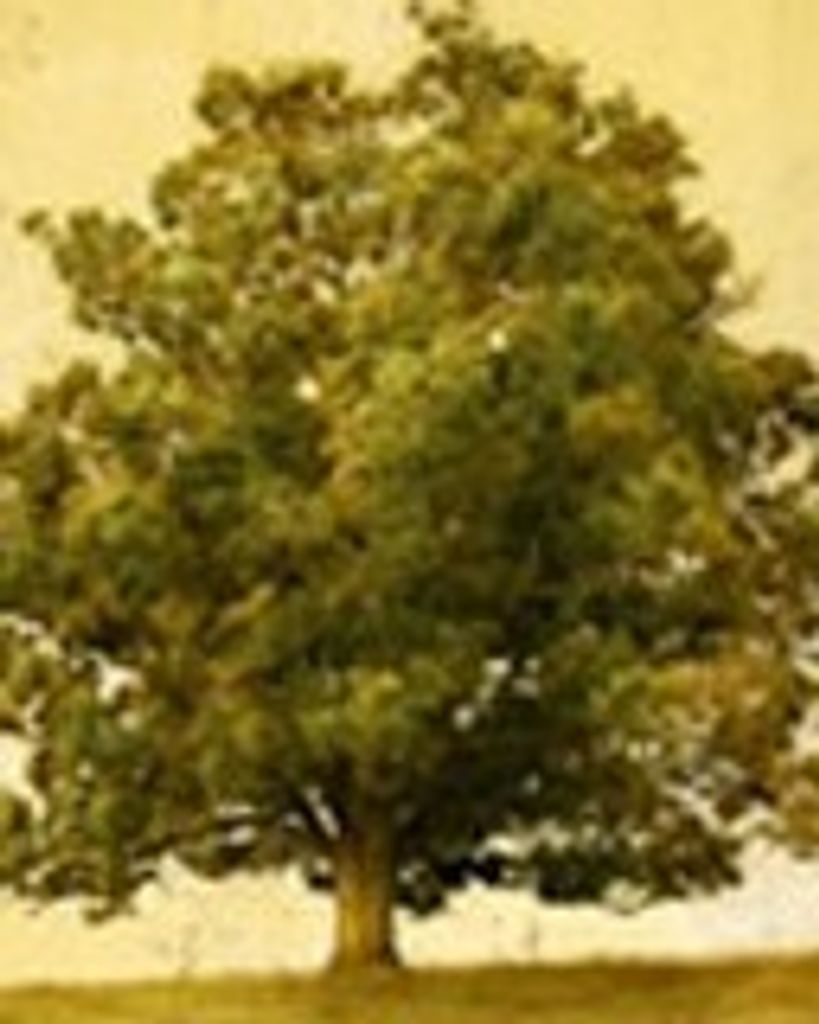 Alfred Burris Sr. Profile Photo