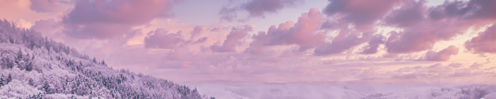 Cover for Sharon Louise Uribe's Obituary