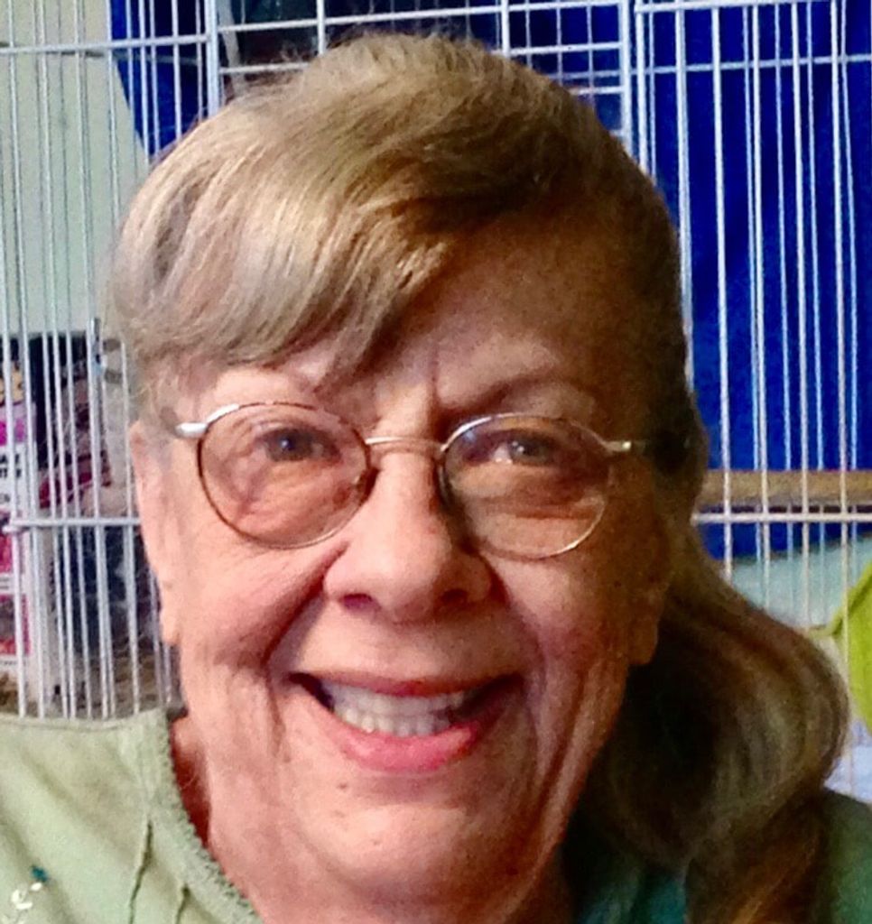 Jolene Schafer