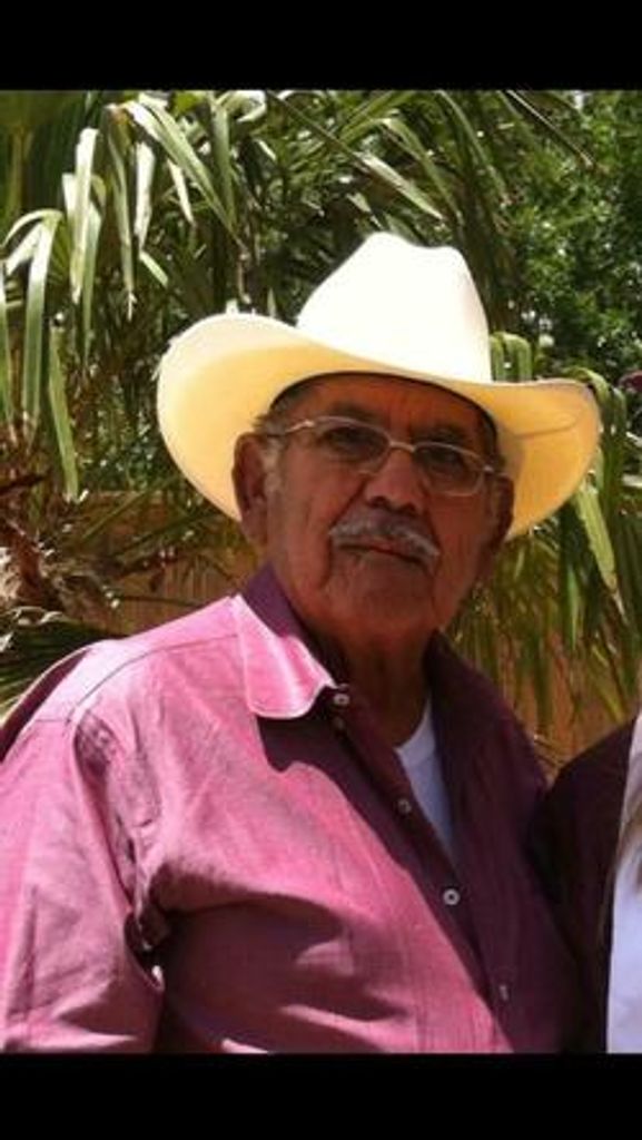 Ignacio Maldonado Jr. Profile Photo