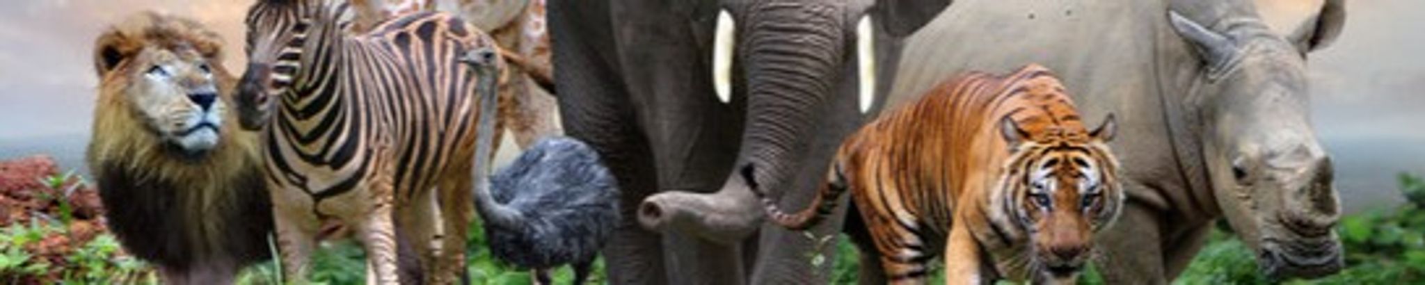 Cover for Benji Nicholas Edler-Sabo's Obituary