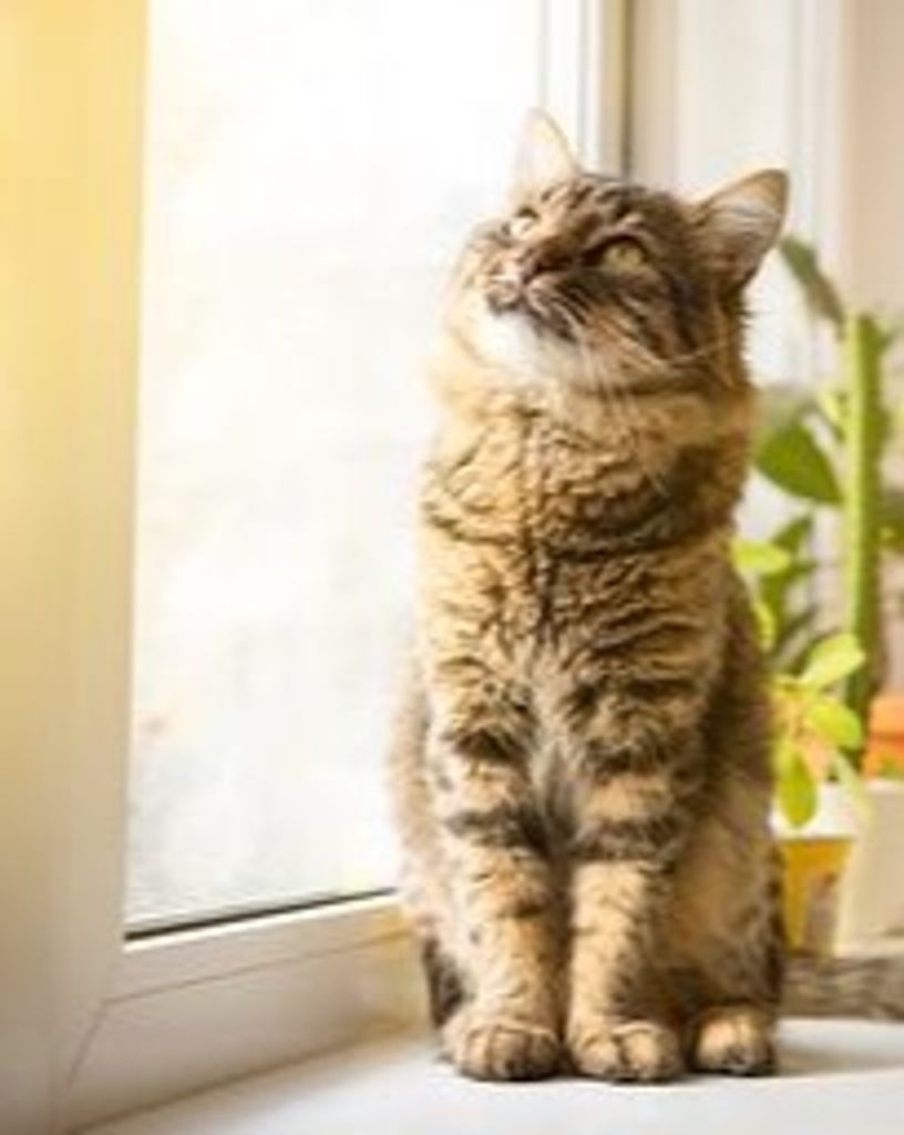 Tilly O Profile Photo