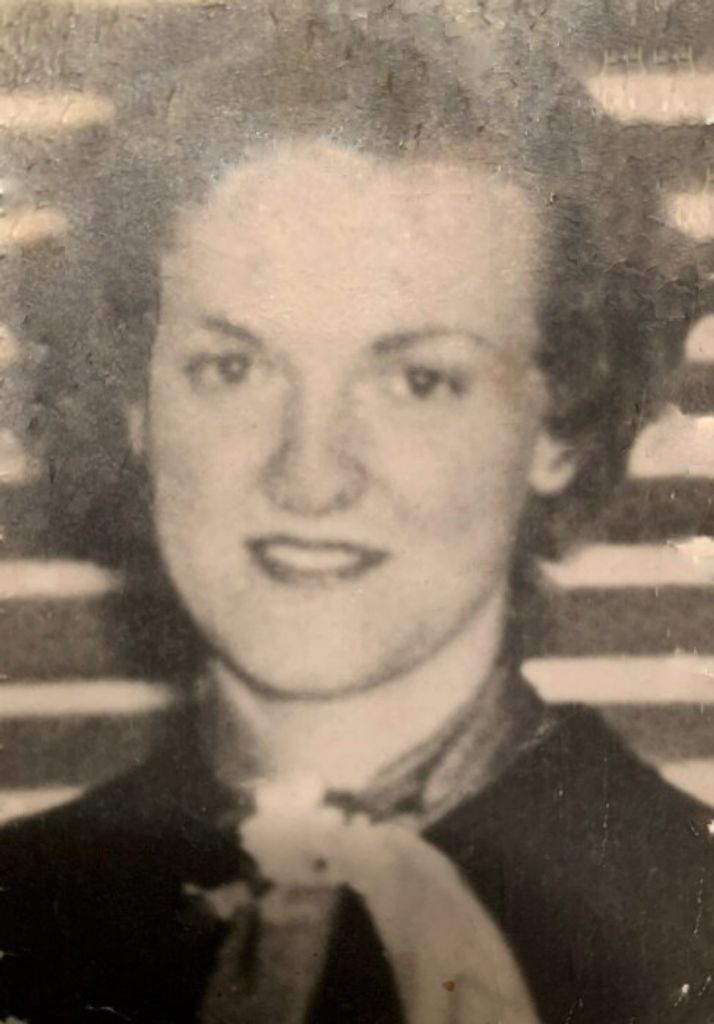 Mary Evelyn (Jones)  Shapiro