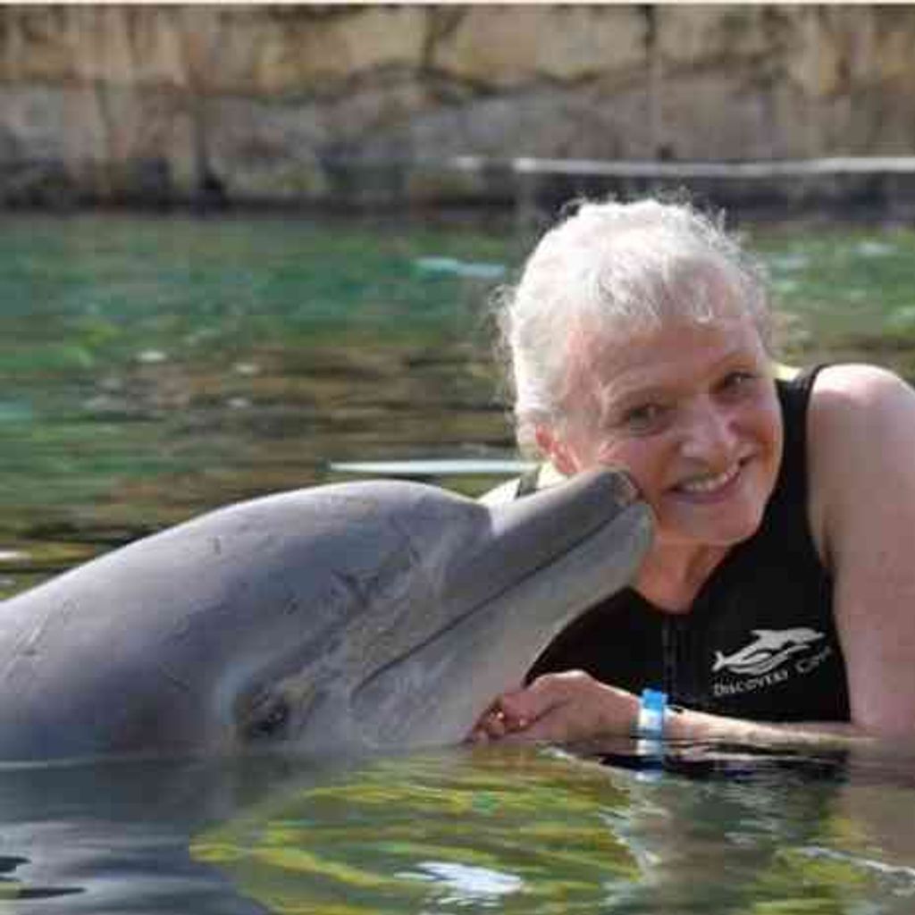 Margaret Healy Profile Photo