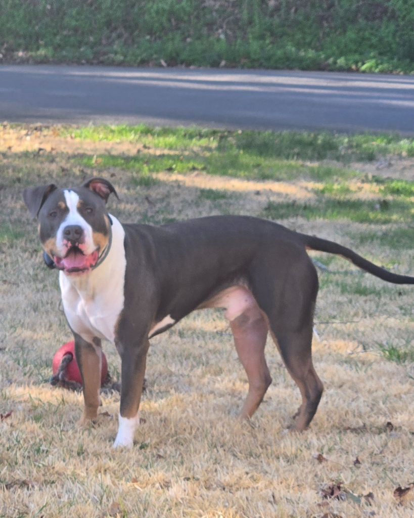 Roscoe Brock Profile Photo