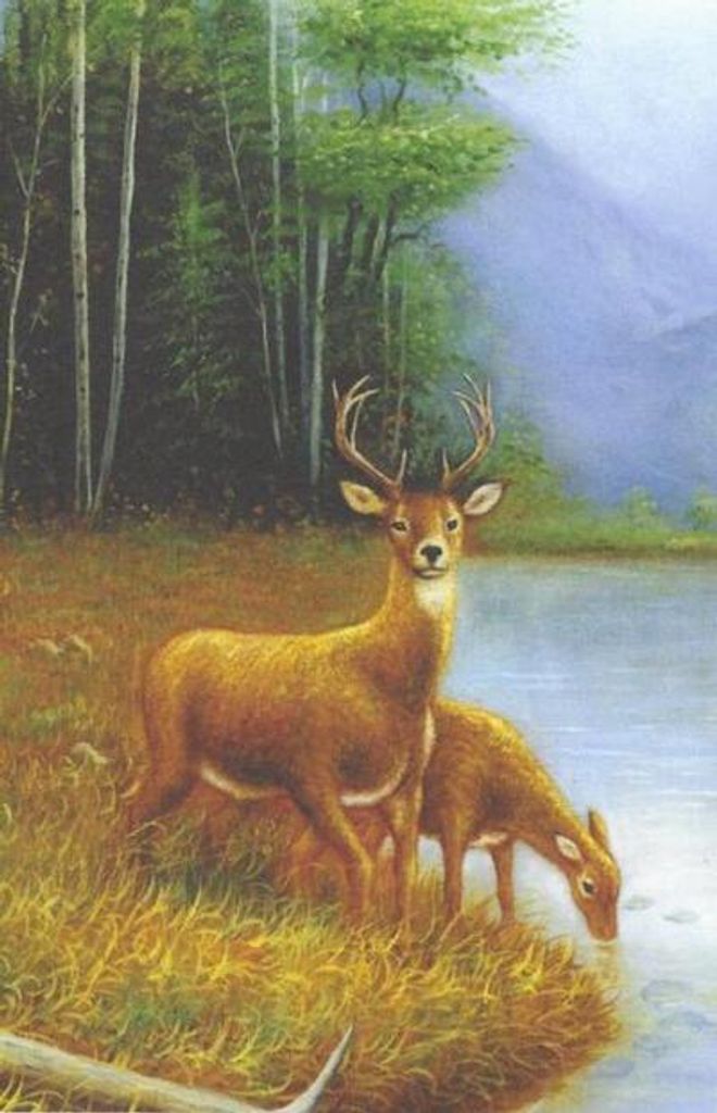 John "Jack" Covert Profile Photo