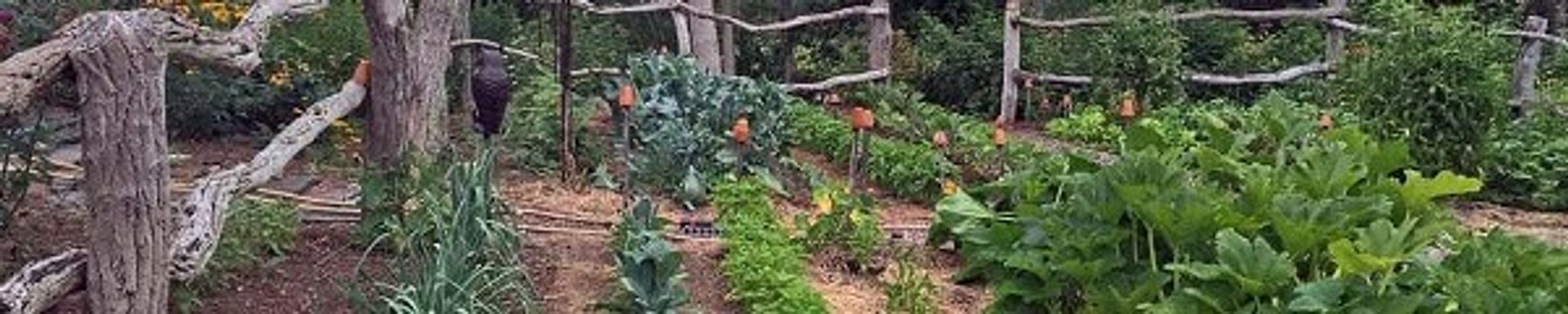 Cover for Roy Lee Perkins's Obituary