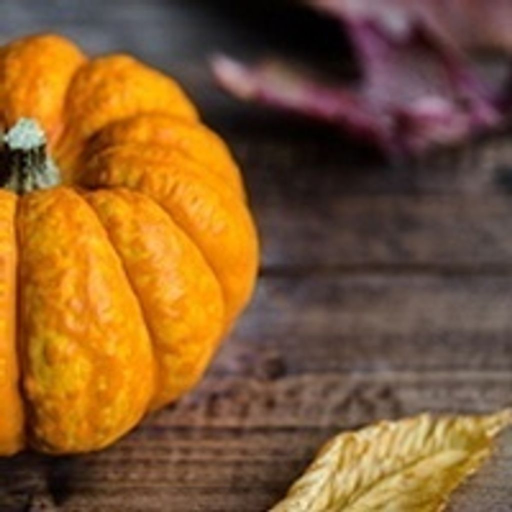 Betty Phipps Haire Profile Photo