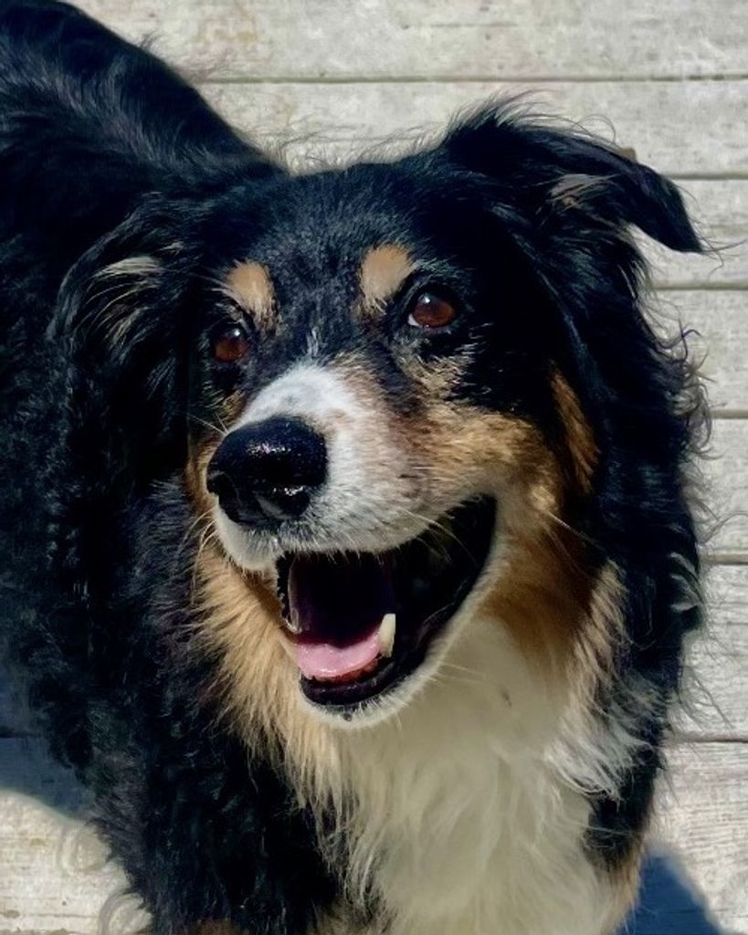 Bentley Vaughan Profile Photo