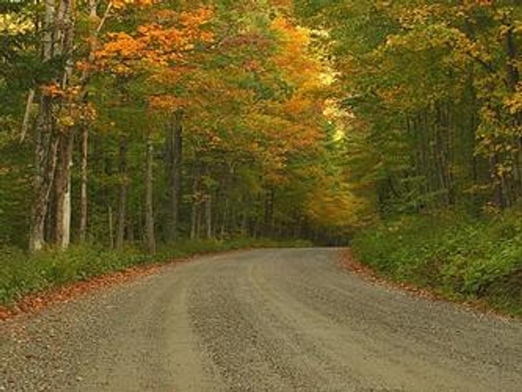 Elfreda Marie Walz Profile Photo