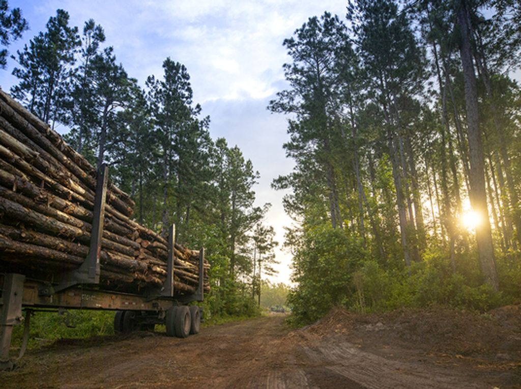 Paul Emory Wabaunsee