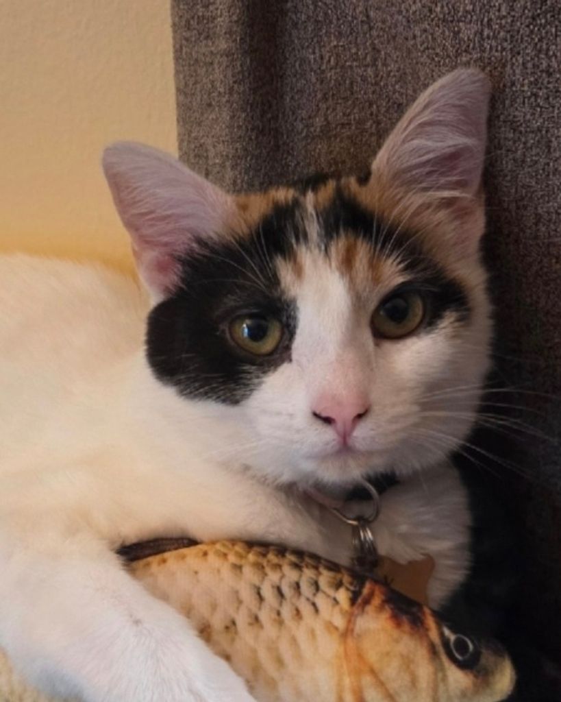 Jinx Profile Photo