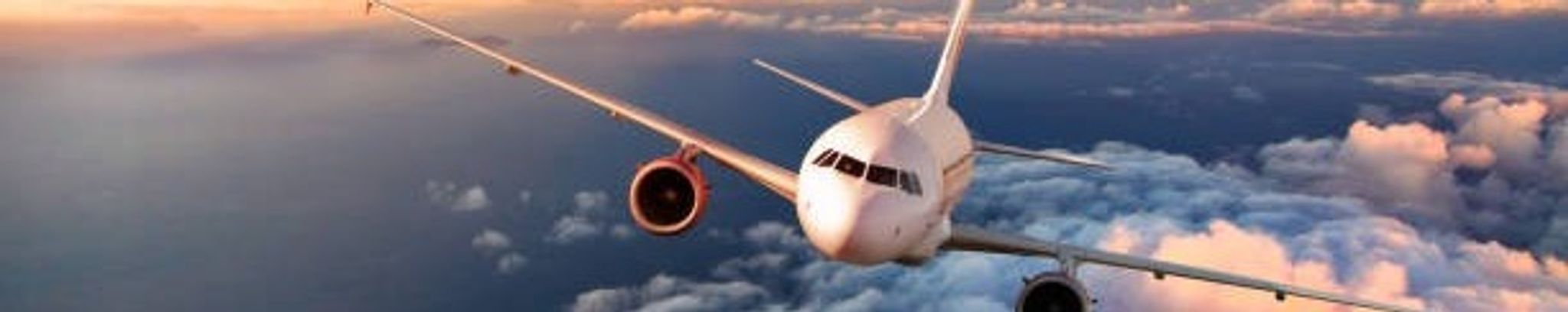 Cover for Michael J. Storey's Obituary