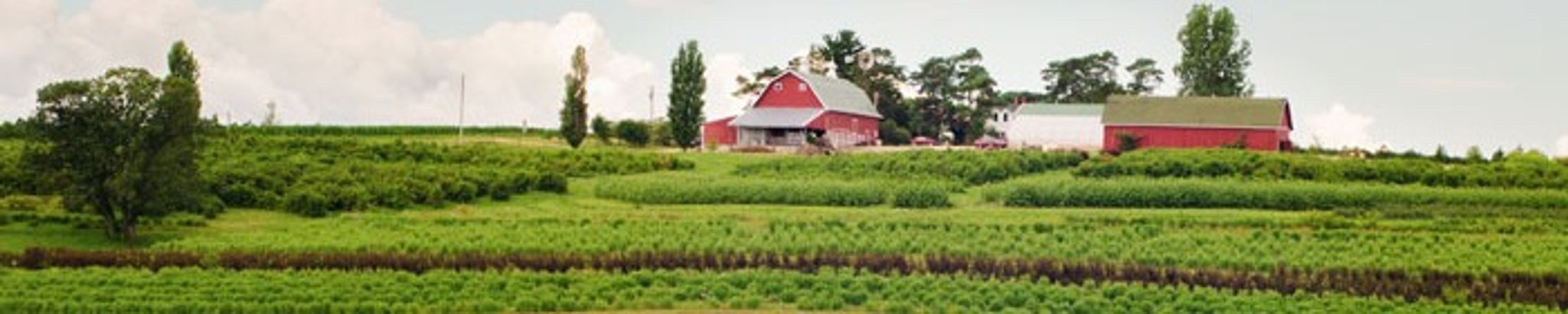 Cover for Tim Clesen's Obituary