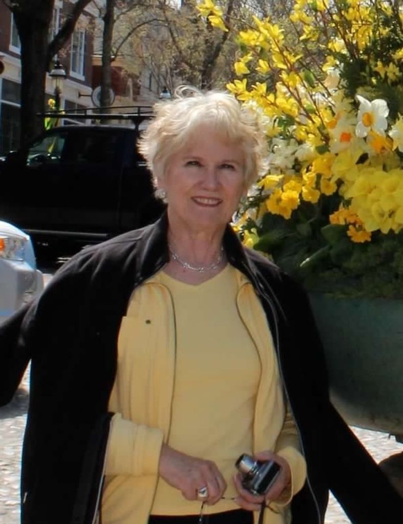 Marilyn Harwood Cook Profile Photo