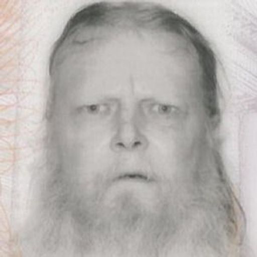Connor Carroll Stevens Profile Photo