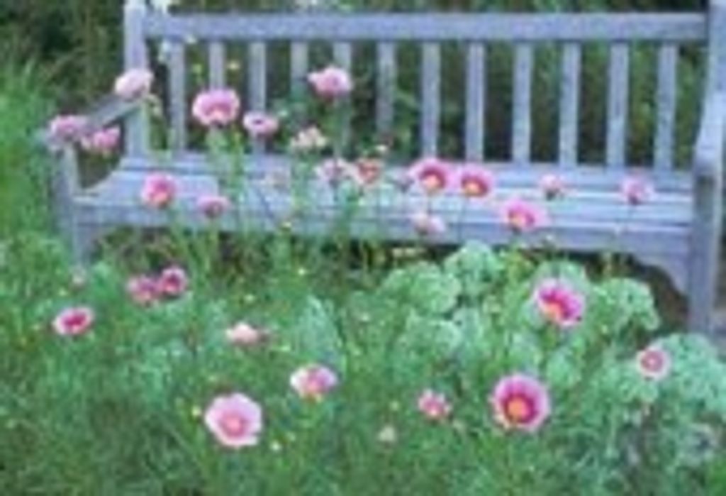Regina Harper Antley