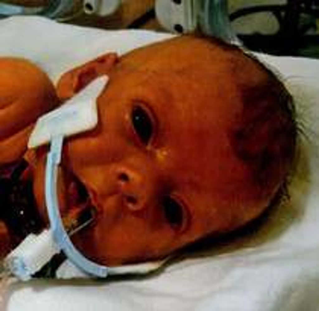 Sophia Marlene Steffel