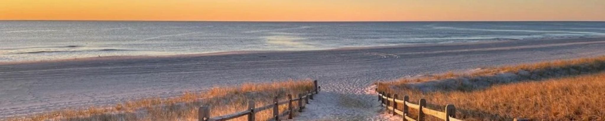 Cover photo for Lucille Sheff's Obituary