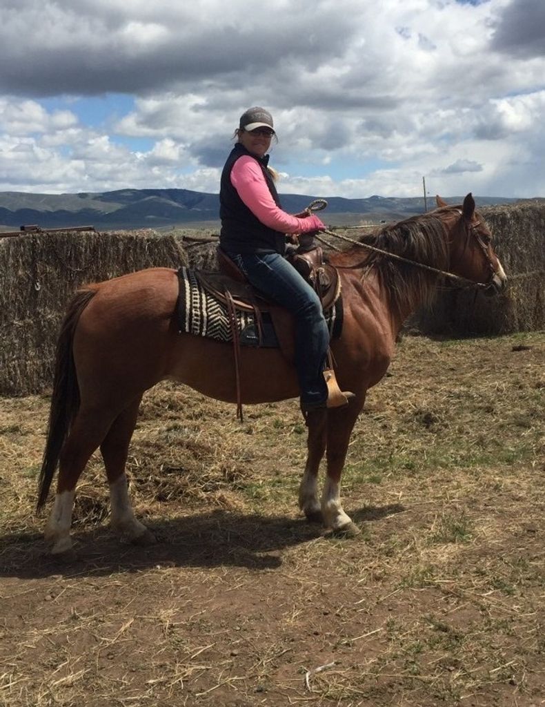 Hilary Larson Mcintosh Profile Photo