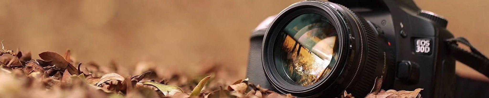 Cover for Constance M. "Connie" Richards's Obituary